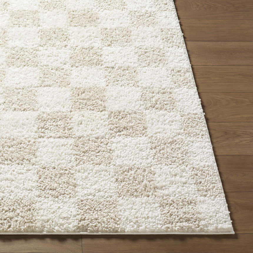 Close-up of the Gallicchio Area Rug showing a soft, textured, cream and beige checkerboard pattern on wood floors. Front