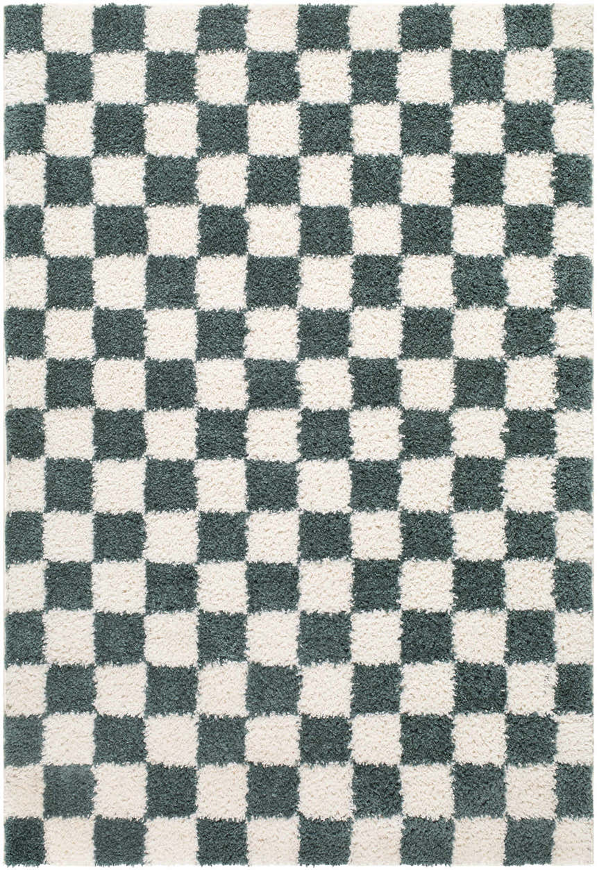 Close-up of the Goianinha Area Rug featuring a green and white checkerboard pattern with a soft, textured pile. Design-Rectangle-537
