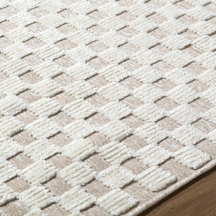 Close-up of the Anthea Light Gray Washable Area Rug. Features a textured, geometric basketweave pattern in light gray and white. Texture