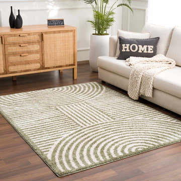 Living room scene with a lime green Allard Washable Area Rug, sofa, and wooden cabinet. Roomscene-Rectangle