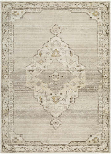 Close-up of the Havard Light Gray Area Rug featuring a traditional center medallion and border pattern. Design-Rectangle-679