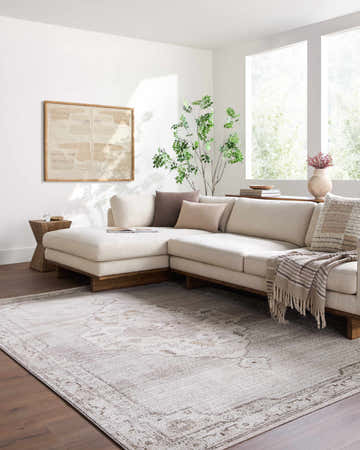 Living room with a light gray sectional and the Havard Light Gray Area Rug. Roomscene-Rectangle