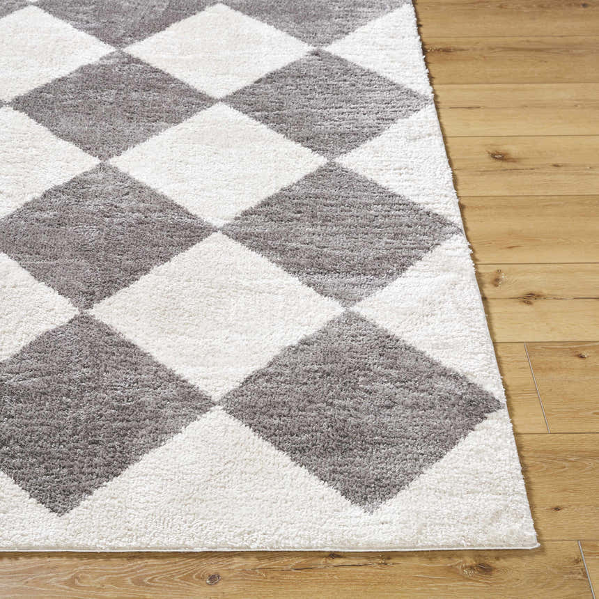 Close-up of the Arilla Diamond Checkered Washable Area Rug. Charcoal and white diamond pattern on a soft, textured rug. Front