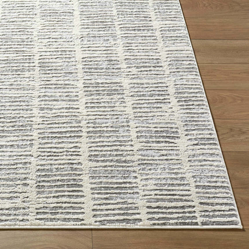 Close up of the Aricin Gray Area Rug featuring a modern light silver and gray horizontal stripe pattern. Front