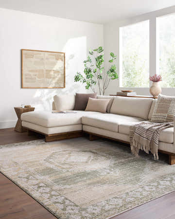 Living room scene with a neutral sectional sofa and the Kailey Tan Area Rug in light gray, olive, and tan. Roomscene-Rectangle