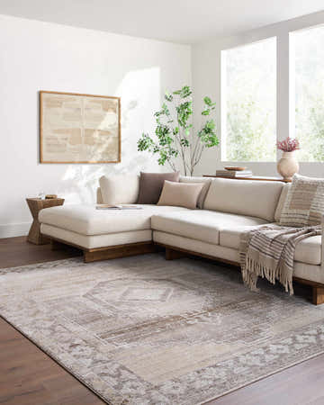 Light-filled living room with a sectional sofa and the Kailey Light Gray Area Rug with a traditional pattern. Roomscene-Rectangle