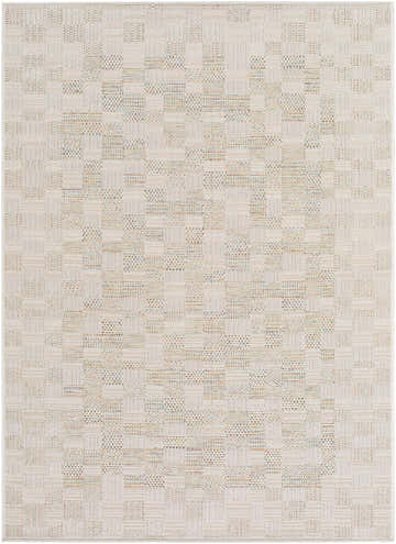Close-up of the Arshad Ivory Area Rug. Beige, tan, and light gray woven in a geometric, checkered pattern. Design-Rectangle-537