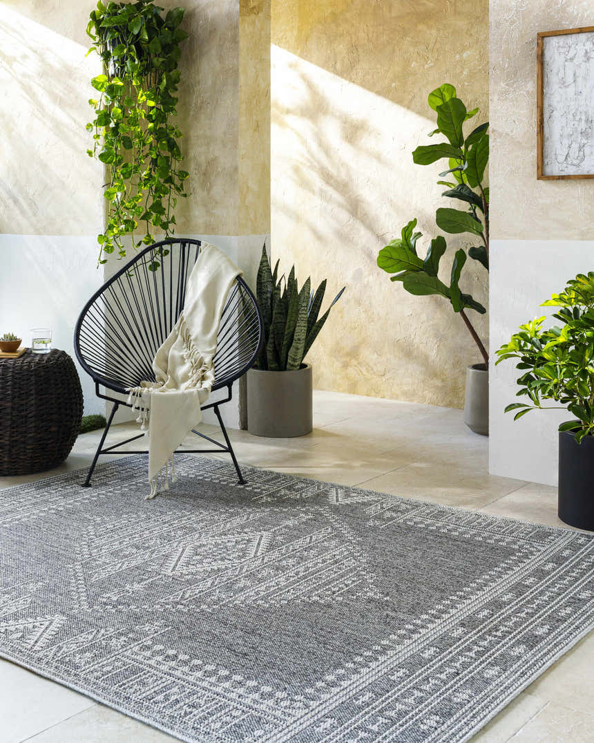 Sunlit room scene with gray and white Asuman Area Rug, black chair, and potted plants. Roomscene-Rectangle