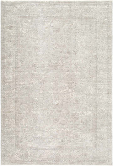 Close-up of the Ailbhe Area Rug. Traditional style with ivory, sandstone, and taupe colors. Machine woven polyester rug. Design-Rectangle-6796