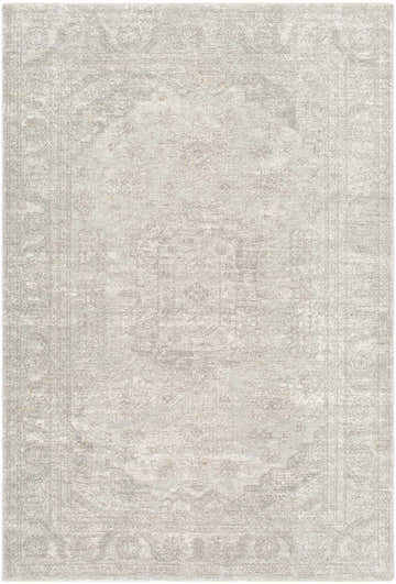 Close-up of the Aithan Light Gray Area Rug, a machine-woven polyester rug with a traditional, farmhouse-style design. Design-Rectangle-6796