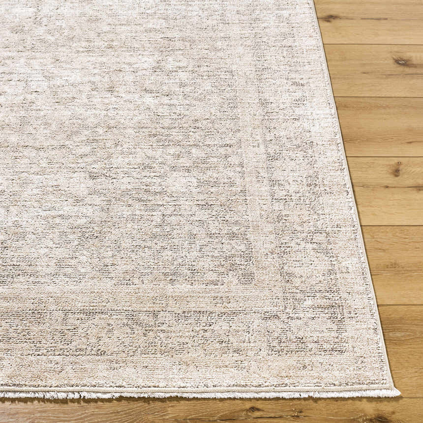 Close-up of the Livabliss x Galey Alix Maria Elena V Vintage Medallion Area Rug, showing ivory, tan, and brown tones. Front