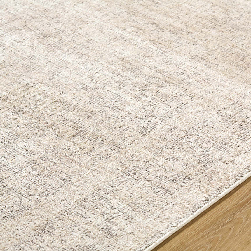Close-up of the Livabliss x Galey Alix Maria Elena V Vintage Medallion Area Rug, showing ivory, tan, and brown colors. Texture