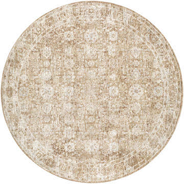 Close-up of the round Andres Olive Area Rug. Cream, light brown, and olive tones with a traditional, distressed pattern. Design-Round-53