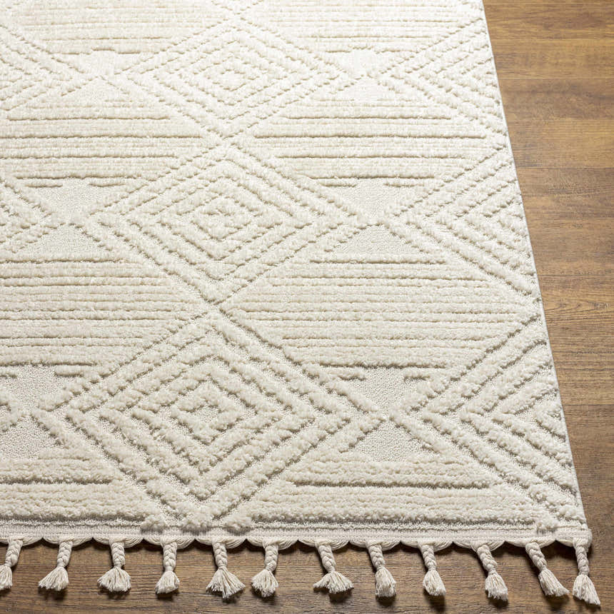 Close-up of the bone Manyas 3D Area Rug. Geometric pattern, tassels, and plush texture on a wood floor. Front