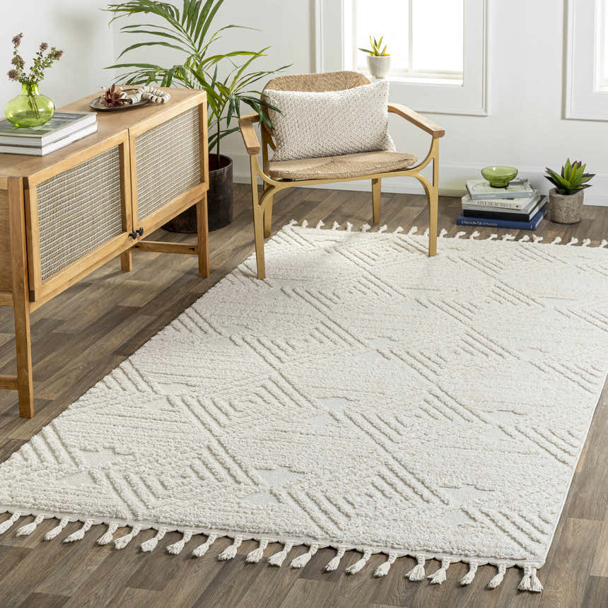 Living room scene with a Manyas 3D Bone Area Rug. The rug has tassels and a geometric pattern, styled with wood furniture. Roomscene-Rectangle