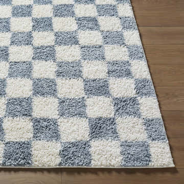 Close-up of the Monteagudo Area Rug. Features a blue and white checkerboard pattern with a soft, textured pile. Front