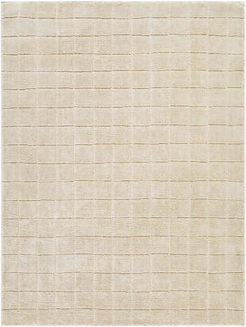 Close-up of the Cascade Checkered Beige Area Rug. Light brown and peach tones with a subtle checkered pattern. Design-Rectangle-537
