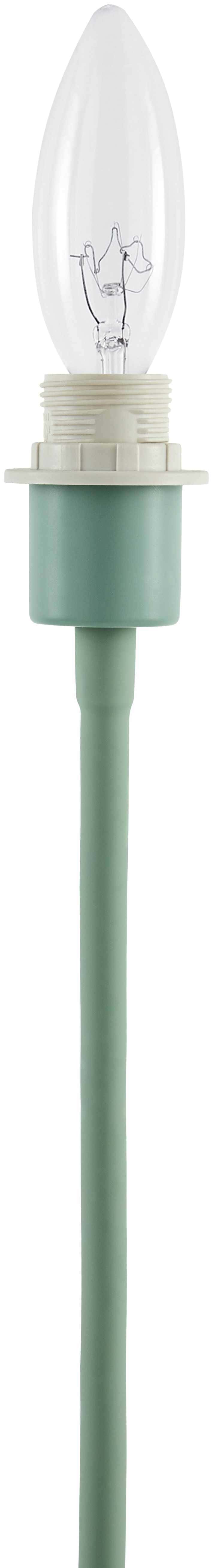 Pachiquita Sage Table Lamp