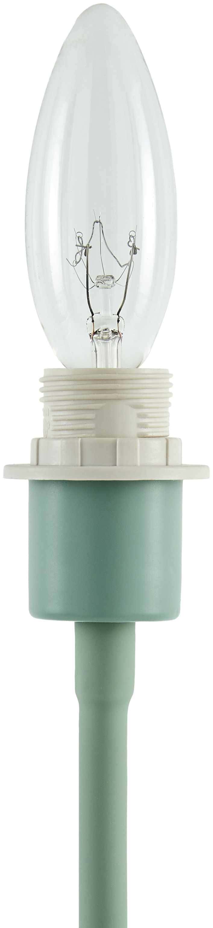Pachiquita Sage Table Lamp