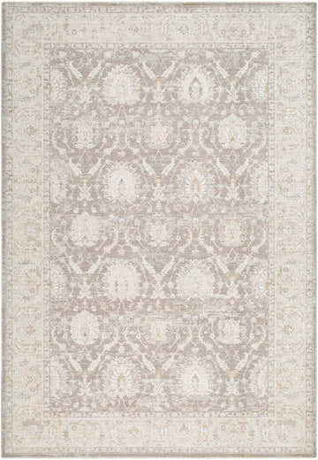 Close-up of the Airlia Medium Gray Thick Luxe Area Rug featuring a traditional floral pattern and border. Design-Rectangle-6796