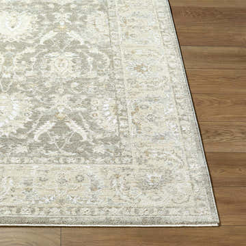 Close-up of the Airlia Medium Gray rug showing its traditional pattern and thick, luxe texture on a wood floor. Front