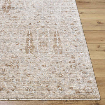 Close-up of the Amalie Area Rug. Cream, tan, and gray farmhouse rug with a traditional, machine-woven pattern. Front