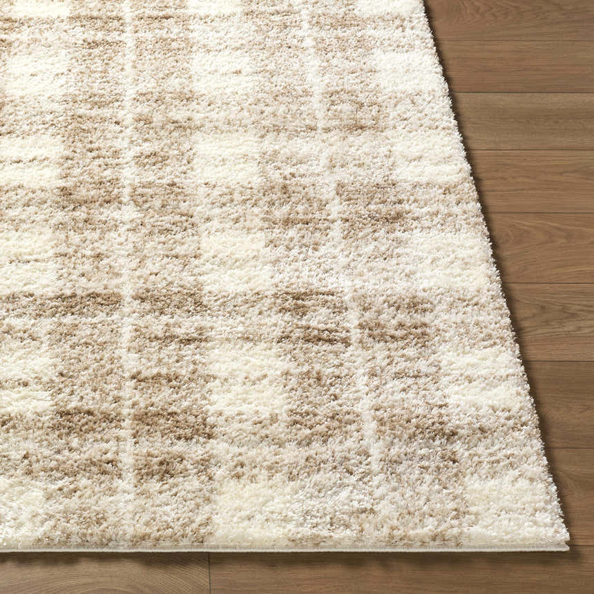 Close up of the Anfisa Beige Luxe Shag Area Rug showing its cream, ivory, and tan grid pattern and plush texture. Front