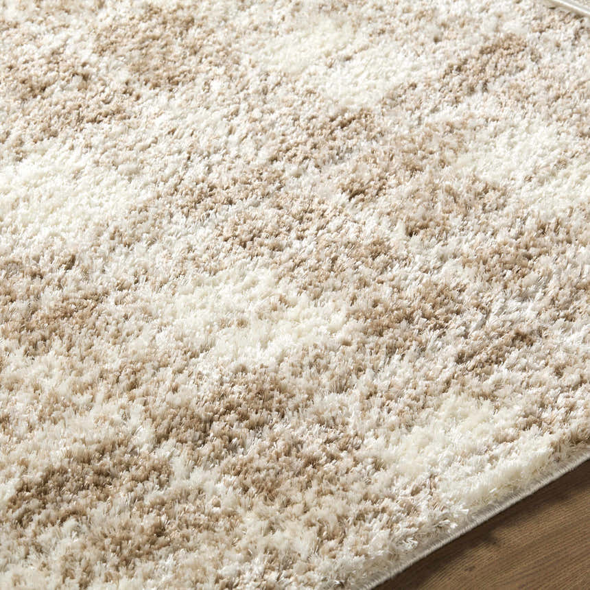 Close-up of the Anfisa Beige Luxe Shag Area Rug, showing its cream, ivory, and tan colors and soft, shaggy texture. Texture