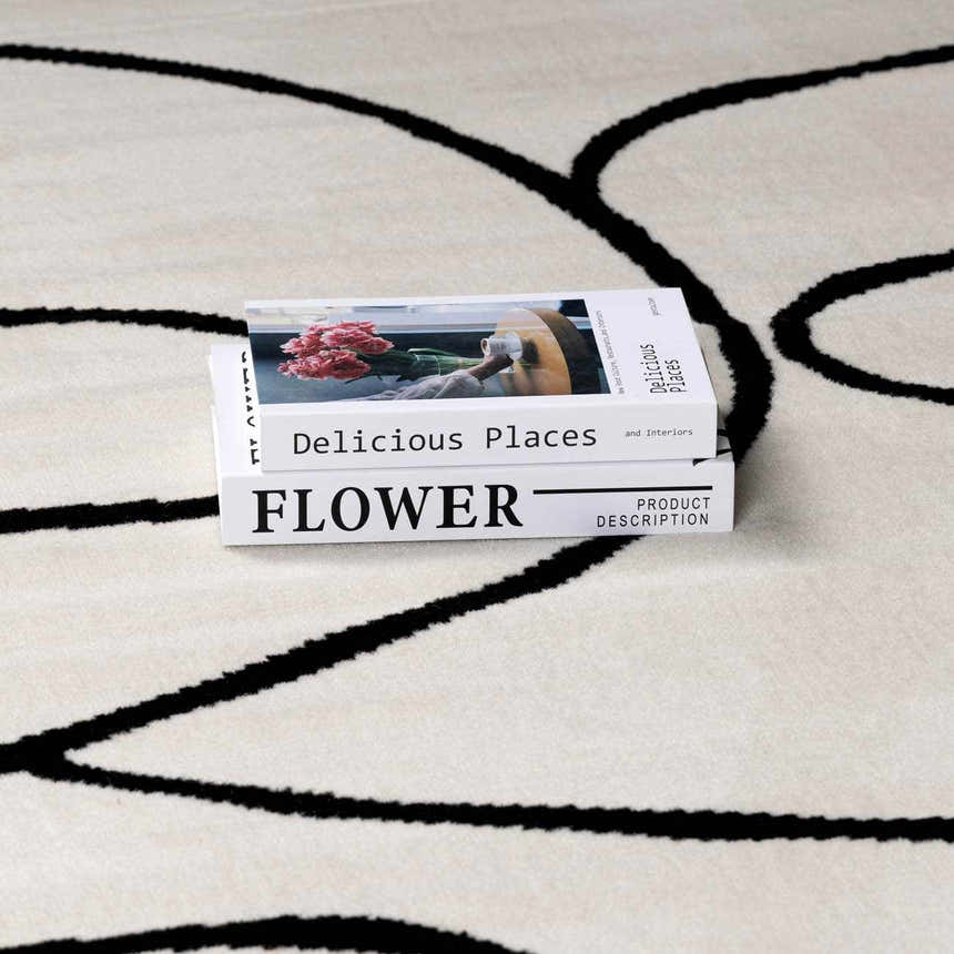 Close-up of the Eilir Modern Boho Rug in bone and black, featuring an abstract line pattern and styled with books. Styleshot