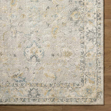 Close-up of the Ahmaud Beige Luxe Area Rug. Traditional farmhouse style with beige, gray, blue, and tan tones. Thick pile texture. Swatch