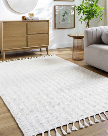 Living room scene with a light wood console table and the ivory Anelia Area Rug with tassels. Roomscene-Rectangle