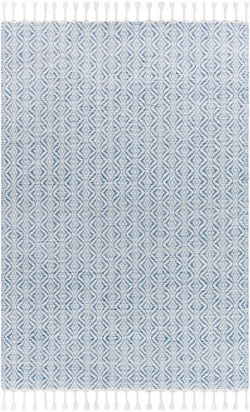 Close-up of Anelia Sky Blue Area Rug. Hand-woven rug with ivory and light blue diamond pattern and fringe. Design-Rectangle-576