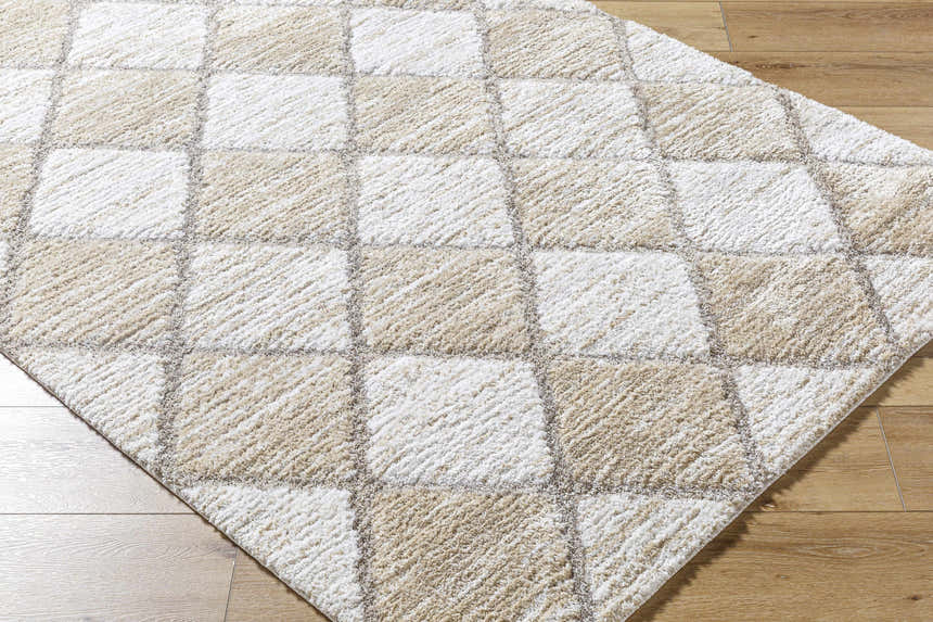 Close up of the Aideen Cream Shag Area Rug showing the cream and light brown checkered pattern and soft, plush texture. Corner