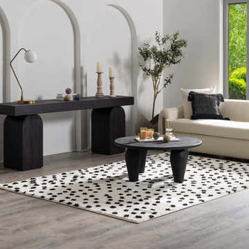 Living room scene with a black and white Tilos Area Rug, sofa, and black console table. Roomscene-Rectangle