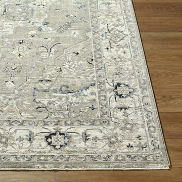 Close-up of Ayzize Beige Area Rug showing traditional pattern, beige, charcoal, ivory, and slate blue colors on wood floor. Front