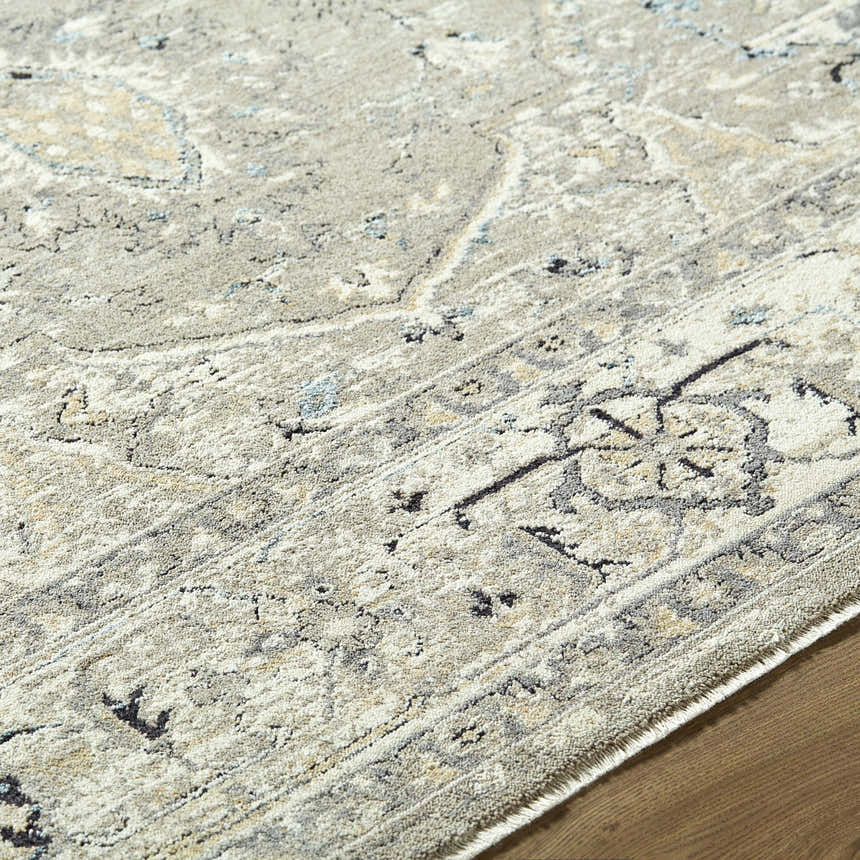 Close up of the Ayzize Beige Area Rug, showcasing its farmhouse style pattern and soft texture. Texture