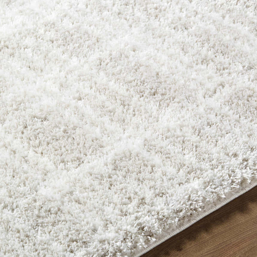 Close-up of the ivory Alamea shag area rug, showing the plush texture and machine-woven construction. Texture
