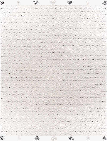 Close-up of the Sadleir Indoor & Outdoor Rug. Hand-woven, ivory rug with a geometric diamond pattern and tassels. Design-Rectangle