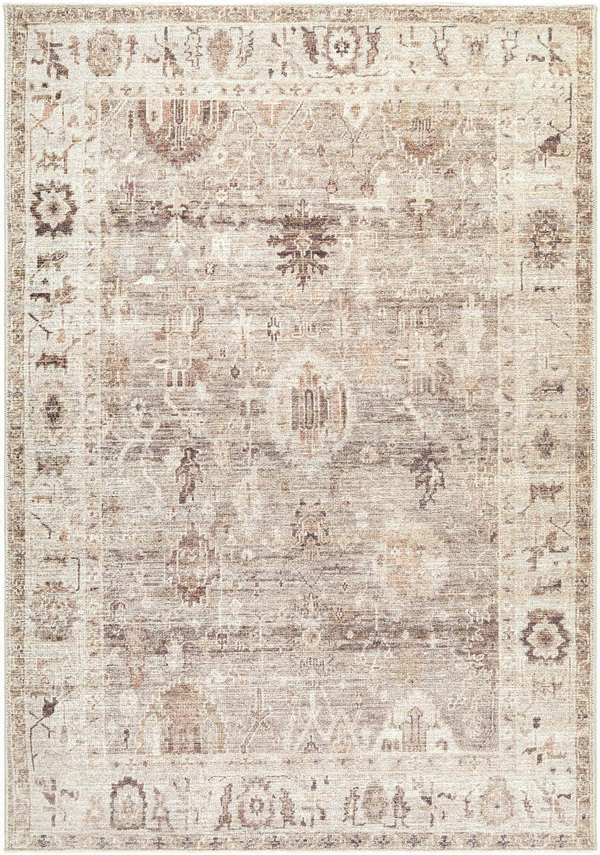 Close-up of the Matat Area Rug. Beige, chestnut, ivory, tan, and taupe traditional rug with a farmhouse style pattern. Design-Rectangle-31157