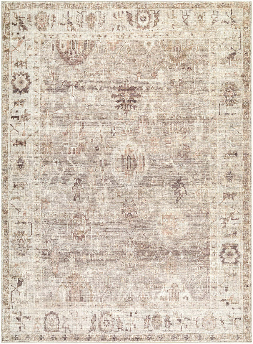 Close-up of the Matat Area Rug. Machine-woven traditional design in beige, chestnut, ivory, tan, and taupe polyester. Design-Rectangle-527