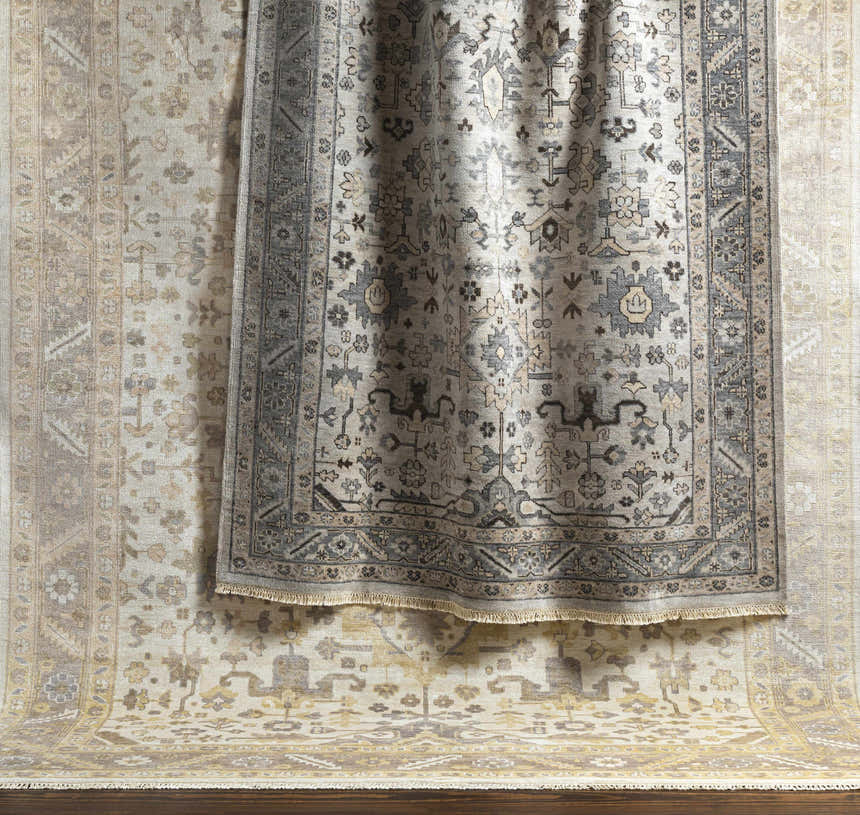 Close-up of the Carthage Area Rug, a hand-knotted viscose rug with beige, gray, and brown traditional patterns. Styleshot