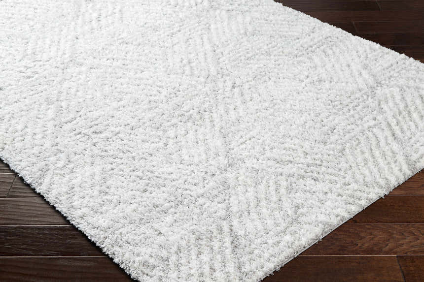Close-up of the Mura Gray Area Rug showing its shag texture and subtle geometric pattern on dark wood flooring. Corner
