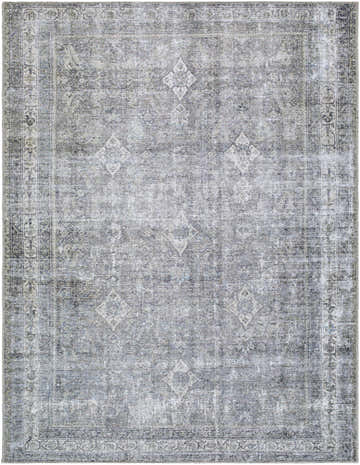 Close-up of a Kelda Washable Area Rug. Machine woven polyester rug in gray, white, and blue with a vintage Persian pattern. Design-Rectangle-537