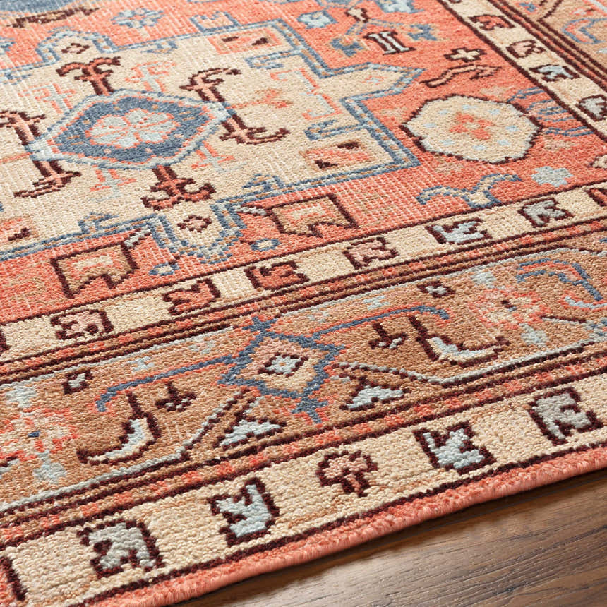 Close-up of the hand-knotted Sandymount Area Rug. Features blue, burgundy, coral, and beige oriental rug patterns. Texture