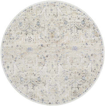 Close-up of a round Margo Area Rug with a traditional design in dusty sage, medium gray, and neutral tones. Design-Round