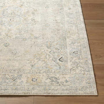 Close-up of the Tyche Light Gray Thick Luxe Area Rug showing its traditional pattern and soft, plush texture on wood floors. Front