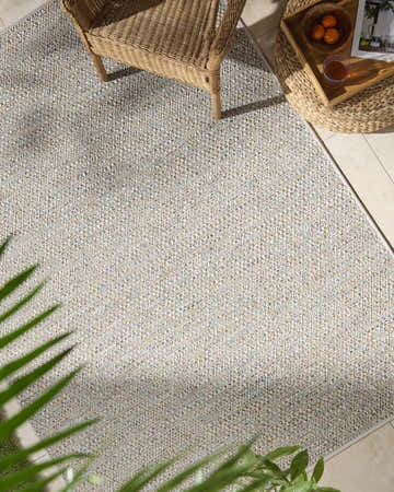 Close-up of Thanh Ivory Area Rug showing woven texture, neutral colors, and subtle pattern in a bright, airy sunroom. Roomscene-Rectangle