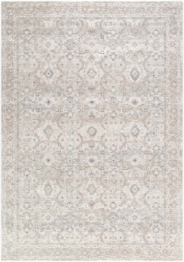 Close-up of the Tyren Area Rug with a traditional design in cream, light slate, sage, slate blue, and tan colors. Design-Rectangle-6796