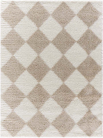 Close-up of the Achaia Beige Area Rug, showcasing its diamond pattern and soft shag texture in beige, ivory, and medium brown. Design-Rectangle-537