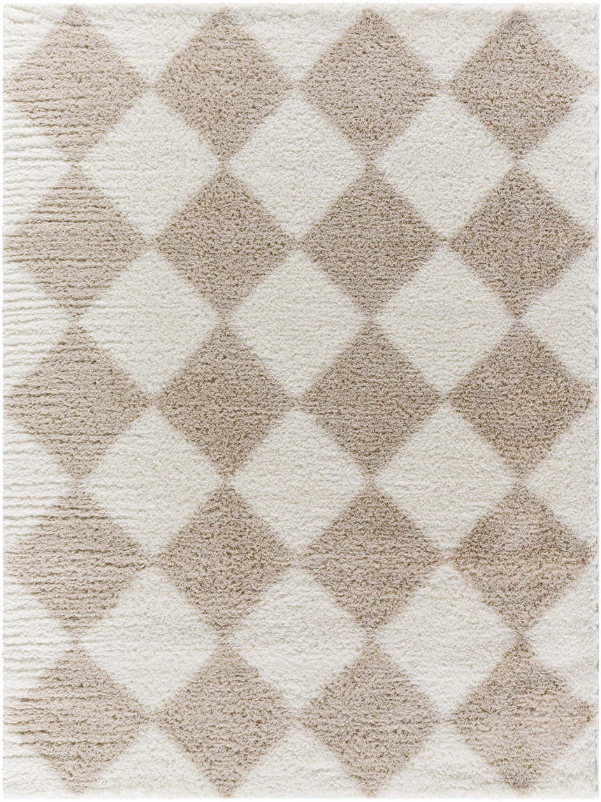 Close-up of the Achaia Beige Area Rug, showcasing its diamond pattern and soft shag texture in beige, ivory, and medium brown. Design-Rectangle-537